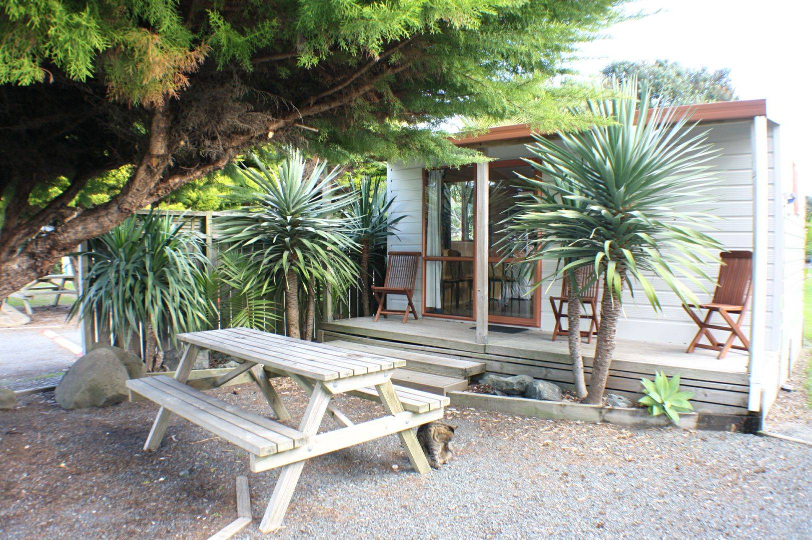 kitchen cabin